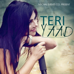 Unknown Teri Yaad