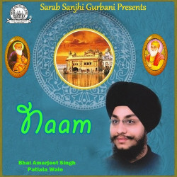 Punjabi Unknown