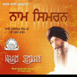 Punjabi-Singles Unknown