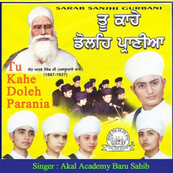 Unknown Tu Kahe Doleh Parania