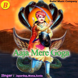 Punjabi Unknown