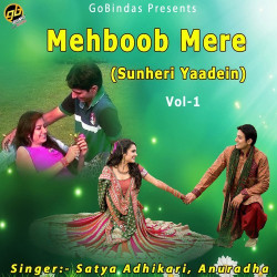 Unknown Mehboob Mere (Sunheri Yaadein) Vol 1