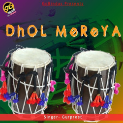 Unknown Dhol Mereya