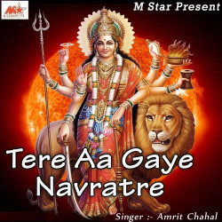 Unknown Tere Aa Gaye Navratre