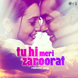 Unknown Tu Hi Meri Zaroorat - Romantic Songs
