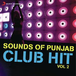 Unknown Sounds Of Punjab Club Hit, Vol 2
