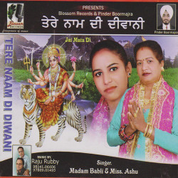 Punjabi Unknown