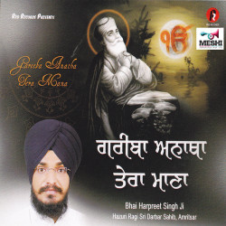 Punjabi Unknown