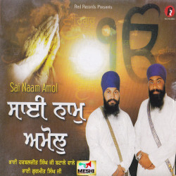 Punjabi Unknown