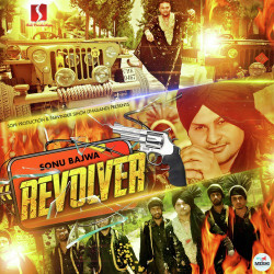 Unknown Revolver