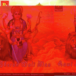 Punjabi Unknown