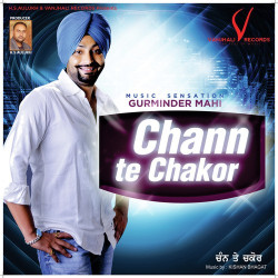 Punjabi Unknown