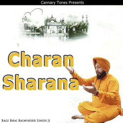 Punjabi Unknown