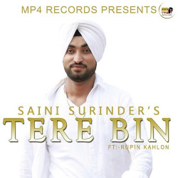 Unknown Tere Bin
