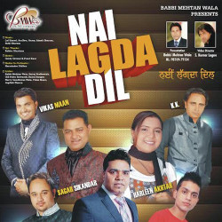 Unknown Nai Lagda Dil
