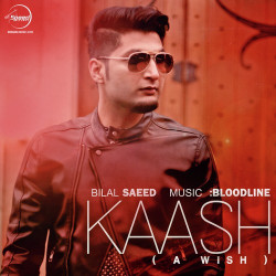 Unknown Kaash (A Wish)