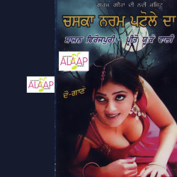 Punjabi Unknown