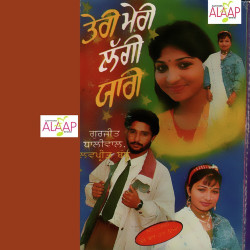 Unknown Teri Meri Laggi Yaari