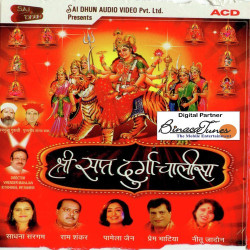 Unknown Shri Sapat Durga Chalisa