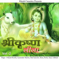 Unknown Shree Krishan Leela Vol 2
