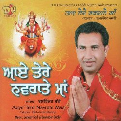 Unknown Aaye Tere Navrate Maa
