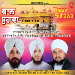 Punjabi Unknown