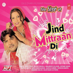 Punjabi Unknown