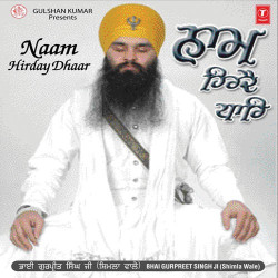 Punjabi Unknown