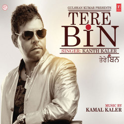 Unknown Tere Bin