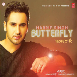 Unknown Butterfly