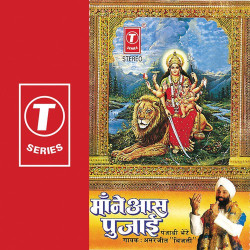 Punjabi Unknown
