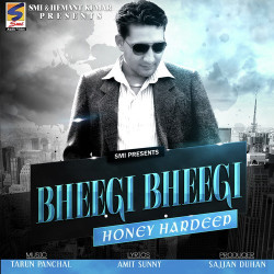 Hindi-Singles Unknown