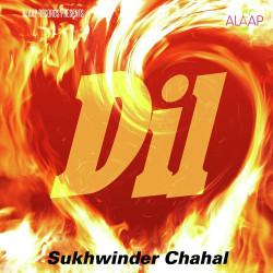 Punjabi Unknown