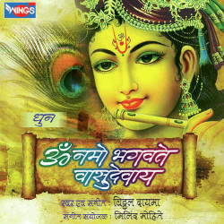 Unknown Om Namo Bhagwate Vasudevay (Dhun)