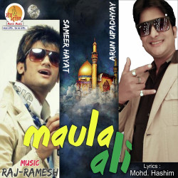 Unknown Maula Ali