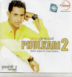 Unknown Phulkari 2
