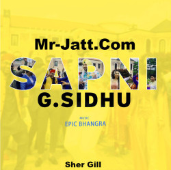 Unknown Sapni