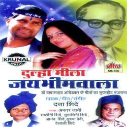Unknown Dulha Mila Jaybhimwala