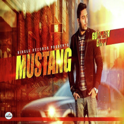 Punjabi-Singles Unknown
