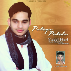 Unknown Pateya Patola