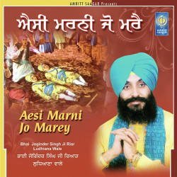 Punjabi Unknown
