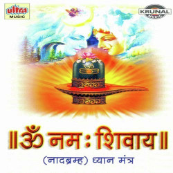 Unknown Om Namah Shivay-Nadabram