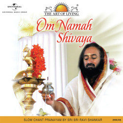 Unknown Om Namah Shivaya (English Version)