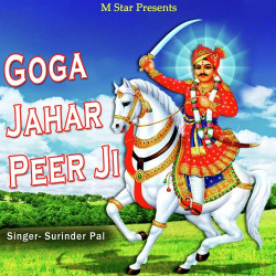 Punjabi Unknown