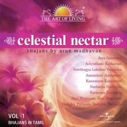 Unknown Celestial Nectar - The Art Of Living, Vol 1