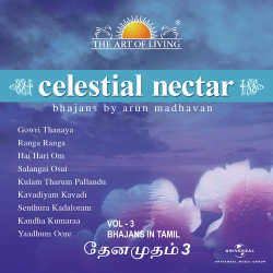 Unknown Celestial Nectar - The Art Of Living, Vol 3