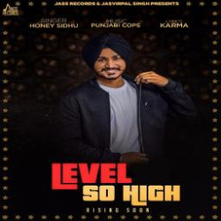 Unknown Level So High