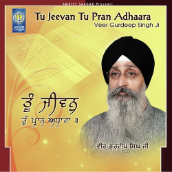 Unknown Tu Jeevan Tu Pran Adhaara
