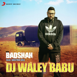 Unknown Dj Waley Babu