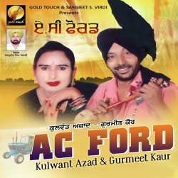 Punjabi Unknown